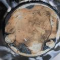 Vase midcentury Designer Walter Popp Signatru