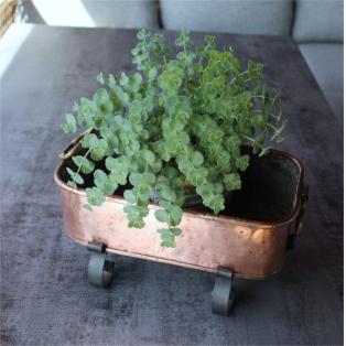 Kupfergardinière Schmiedeisenfuss