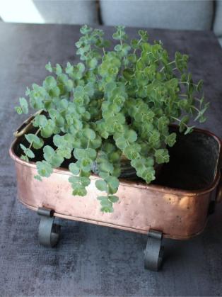 Kupfergardinière Schmiedeisenfuss